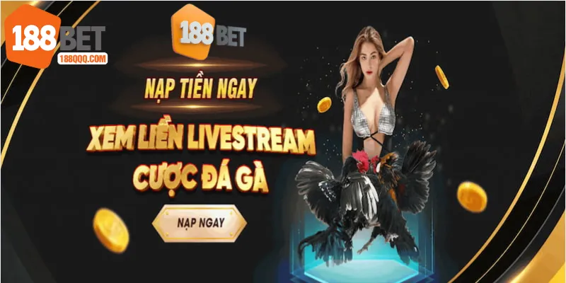 Đá gà 188BET